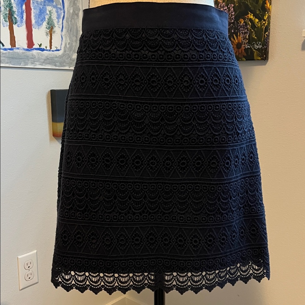 Loft Lace Skirt